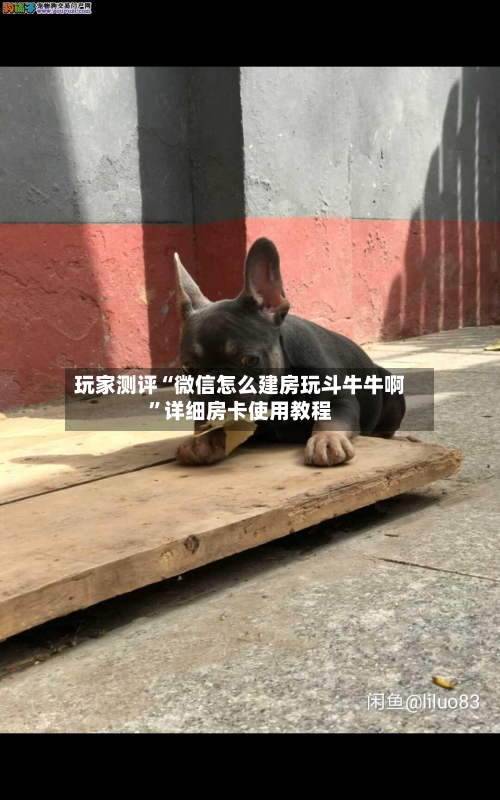玩家测评“微信怎么建房玩斗牛牛啊”详细房卡使用教程-第2张图片