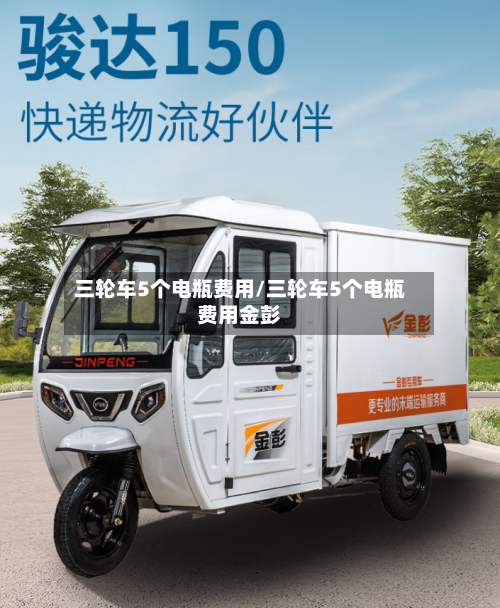 三轮车5个电瓶费用/三轮车5个电瓶费用金彭