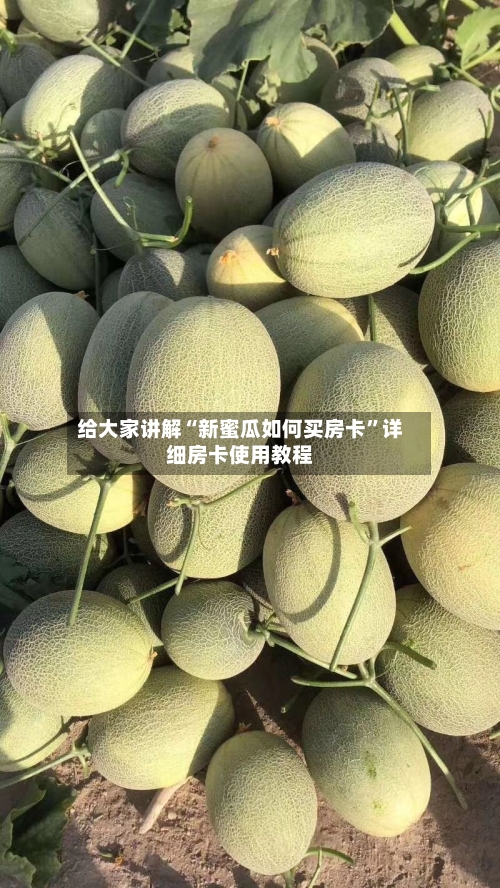 给大家讲解“新蜜瓜如何买房卡	”详细房卡使用教程-第3张图片