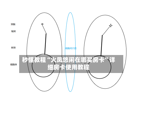 秒懂教程“火凤悠闲在哪买房卡”详细房卡使用教程-第2张图片
