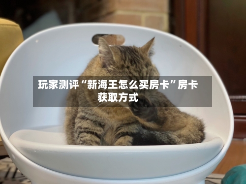 玩家测评“新海王怎么买房卡	”房卡获取方式-第3张图片