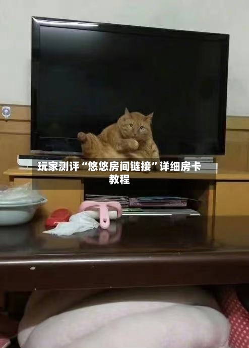 玩家测评“悠悠房间链接	”详细房卡教程-第2张图片