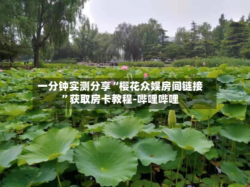 一分钟实测分享“樱花众娱房间链接”获取房卡教程-哔哩哔哩-第2张图片