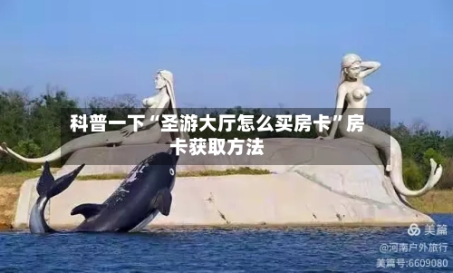 科普一下“圣游大厅怎么买房卡”房卡获取方法-第3张图片