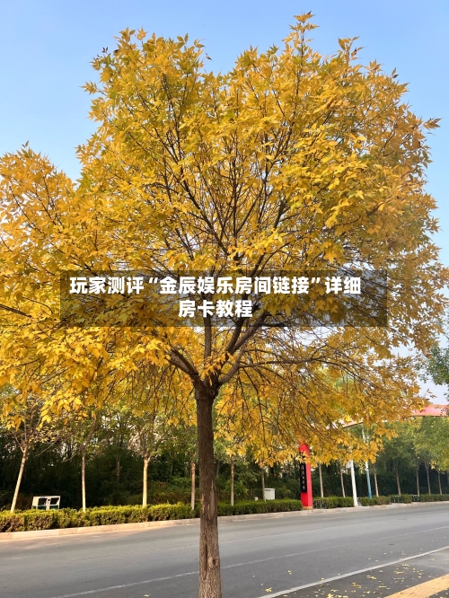 玩家测评“金辰娱乐房间链接”详细房卡教程-第2张图片