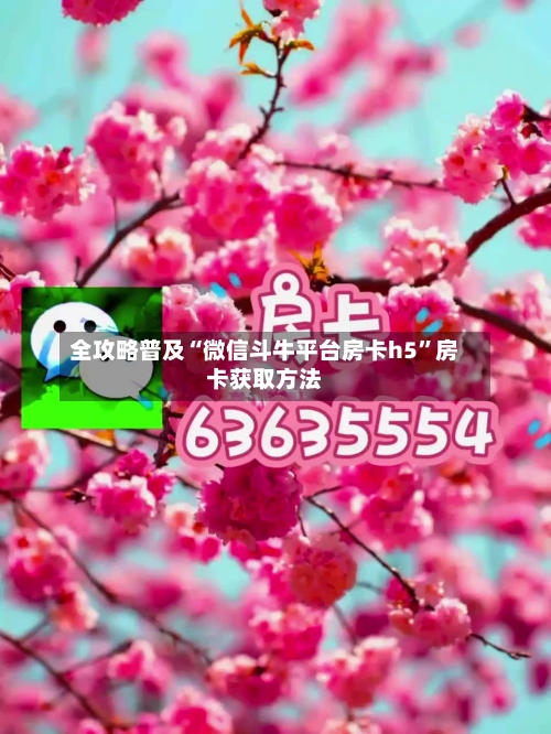 全攻略普及“微信斗牛平台房卡h5	”房卡获取方法-第3张图片