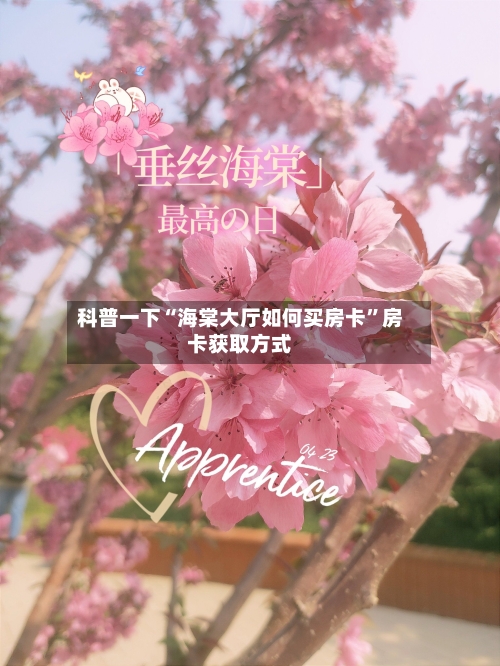 科普一下“海棠大厅如何买房卡”房卡获取方式-第3张图片