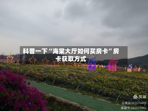 科普一下“海棠大厅如何买房卡”房卡获取方式-第2张图片