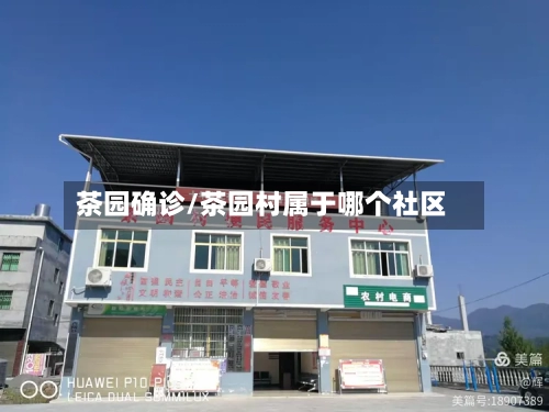 茶园确诊/茶园村属于哪个社区