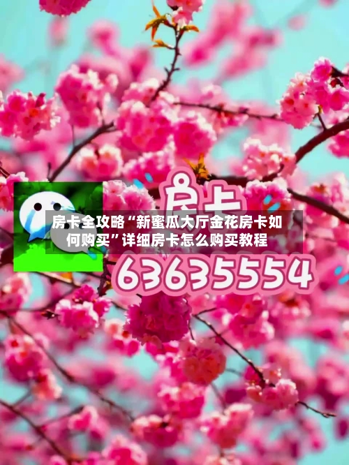 房卡全攻略“新蜜瓜大厅金花房卡如何购买”详细房卡怎么购买教程-第2张图片