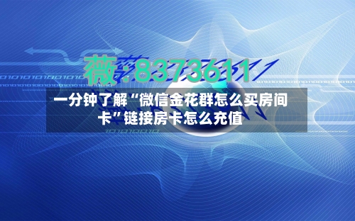 一分钟了解“微信金花群怎么买房间卡”链接房卡怎么充值-第2张图片