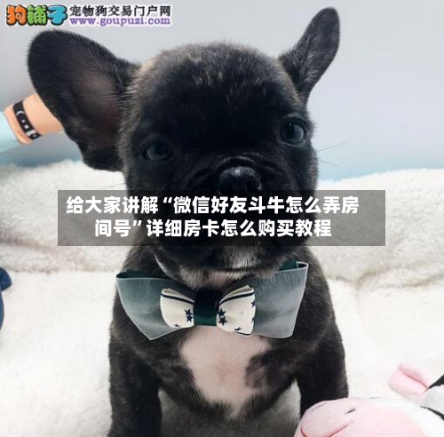 给大家讲解“微信好友斗牛怎么弄房间号	”详细房卡怎么购买教程-第2张图片
