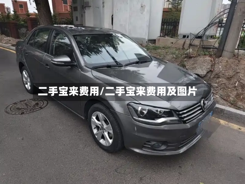 二手宝来费用/二手宝来费用及图片