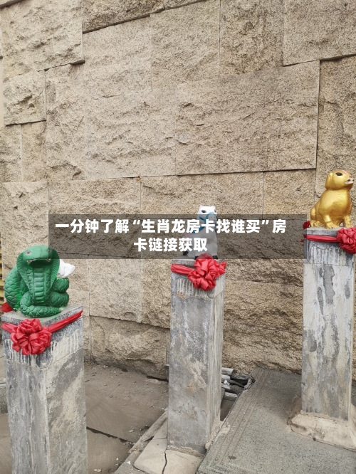 一分钟了解“生肖龙房卡找谁买	”房卡链接获取-第2张图片