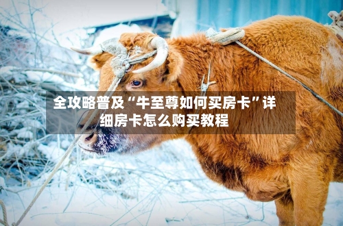 全攻略普及“牛至尊如何买房卡”详细房卡怎么购买教程-第2张图片