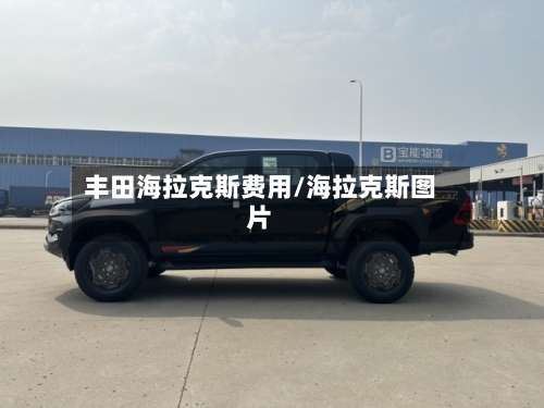 丰田海拉克斯费用/海拉克斯图片-第3张图片