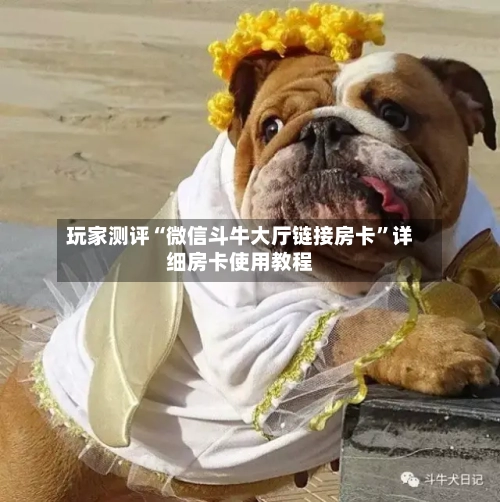 玩家测评“微信斗牛大厅链接房卡	”详细房卡使用教程-第2张图片