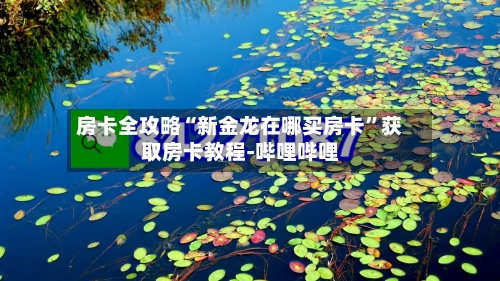 房卡全攻略“新金龙在哪买房卡”获取房卡教程-哔哩哔哩-第2张图片