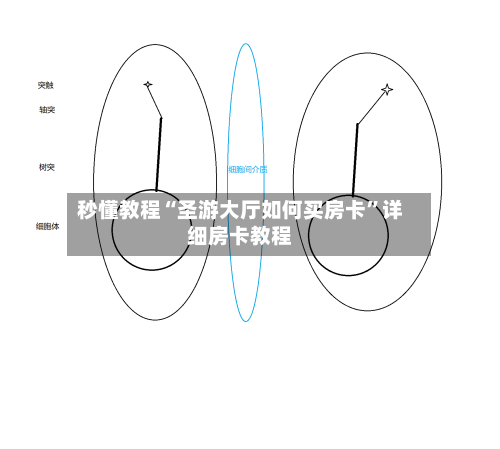 秒懂教程“圣游大厅如何买房卡”详细房卡教程