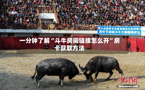 一分钟了解“斗牛房间链接怎么开”房卡获取方法-第2张图片