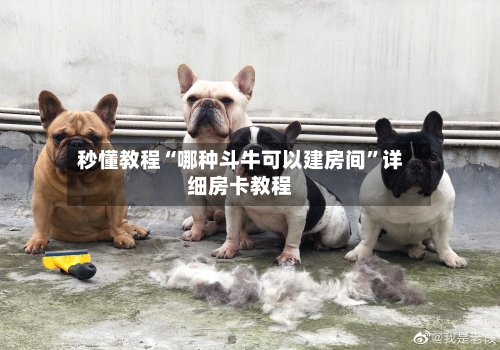秒懂教程“哪种斗牛可以建房间	”详细房卡教程-第3张图片