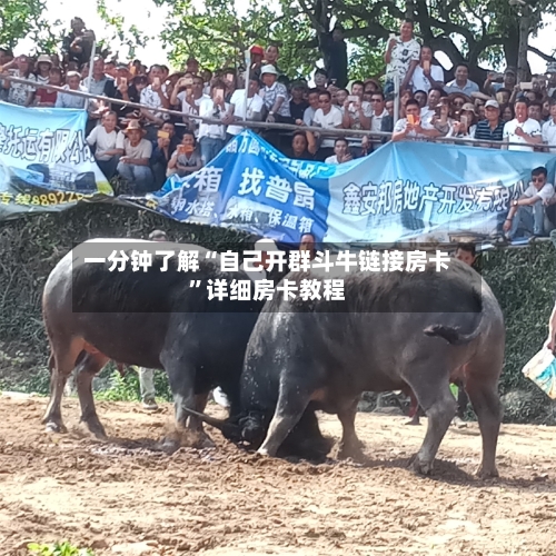 一分钟了解“自己开群斗牛链接房卡”详细房卡教程-第2张图片