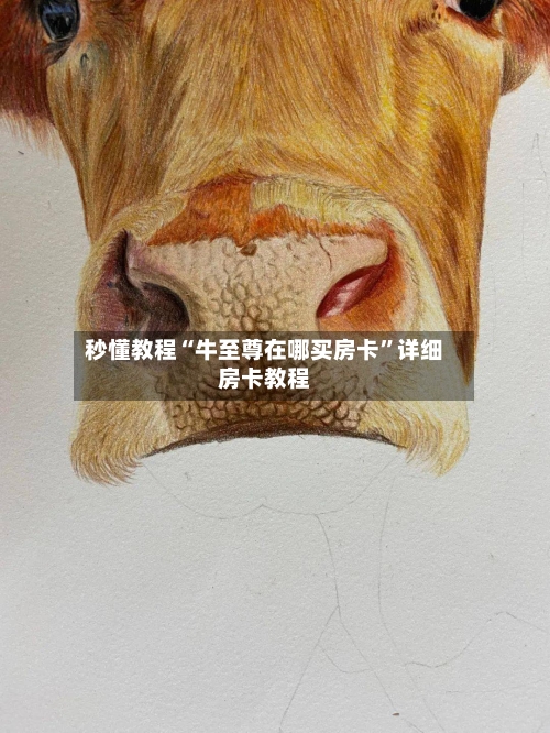秒懂教程“牛至尊在哪买房卡”详细房卡教程-第3张图片