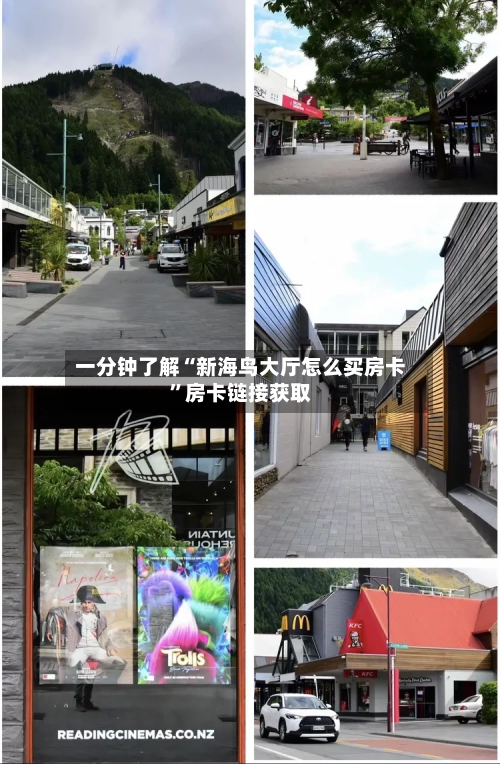 一分钟了解“新海鸟大厅怎么买房卡	”房卡链接获取-第2张图片
