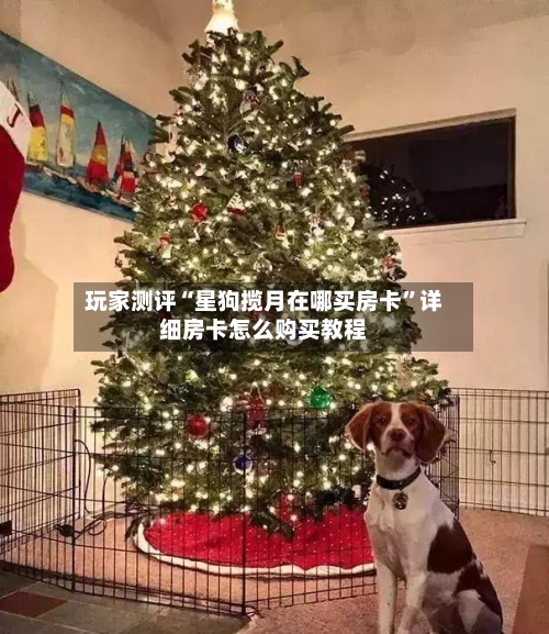玩家测评“星狗揽月在哪买房卡”详细房卡怎么购买教程-第2张图片