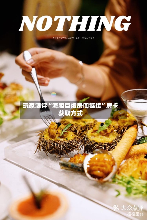 玩家测评“海胆巨炮房间链接”房卡获取方式-第2张图片