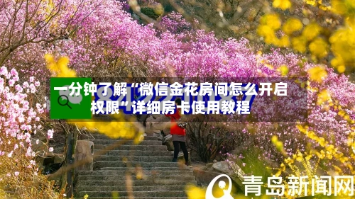 一分钟了解“微信金花房间怎么开启权限”详细房卡使用教程-第2张图片