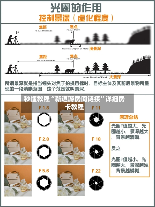 秒懂教程“新道游房间链接	”详细房卡教程-第3张图片