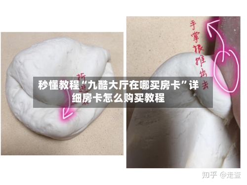 秒懂教程“九酷大厅在哪买房卡”详细房卡怎么购买教程-第2张图片
