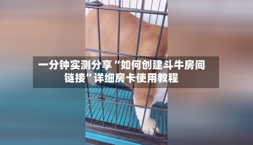 一分钟实测分享“如何创建斗牛房间链接”详细房卡使用教程-第2张图片
