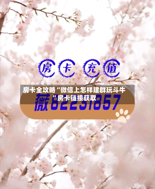 房卡全攻略“微信上怎样建群玩斗牛”房卡链接获取-第3张图片