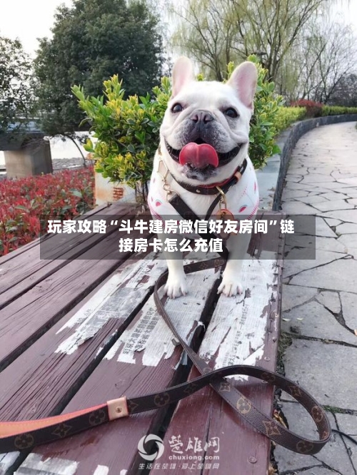 玩家攻略“斗牛建房微信好友房间”链接房卡怎么充值-第2张图片