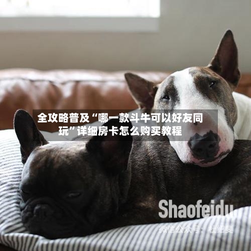 全攻略普及“哪一款斗牛可以好友同玩”详细房卡怎么购买教程-第2张图片