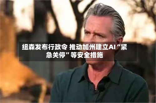 纽森发布行政令 推动加州建立AI“紧急关停”等安全措施-第3张图片