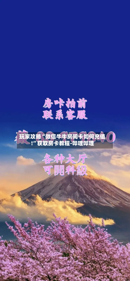 玩家攻略“微信牛牛房间卡如何充值!”获取房卡教程-哔哩哔哩-第2张图片