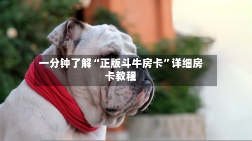 一分钟了解“正版斗牛房卡”详细房卡教程-第3张图片