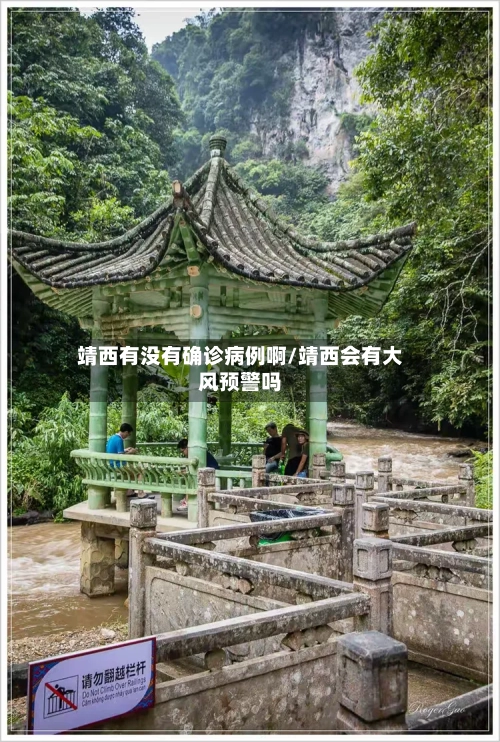 靖西有没有确诊病例啊/靖西会有大风预警吗-第3张图片