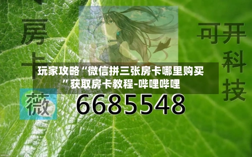玩家攻略“微信拼三张房卡哪里购买”获取房卡教程-哔哩哔哩-第2张图片