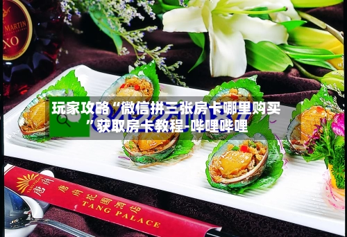 玩家攻略“微信拼三张房卡哪里购买	”获取房卡教程-哔哩哔哩-第3张图片