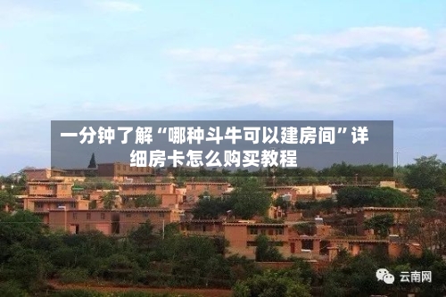 一分钟了解“哪种斗牛可以建房间	”详细房卡怎么购买教程-第3张图片