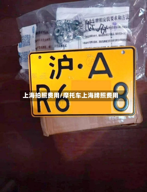 上海拍照费用/摩托车上海牌照费用