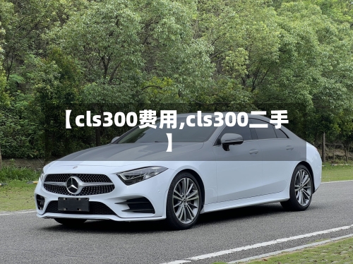 【cls300费用,cls300二手】