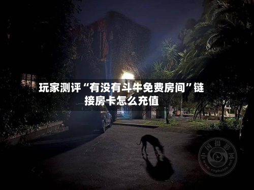 玩家测评“有没有斗牛免费房间”链接房卡怎么充值-第2张图片