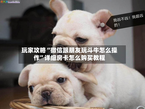 玩家攻略“微信跟朋友玩斗牛怎么操作”详细房卡怎么购买教程-第2张图片