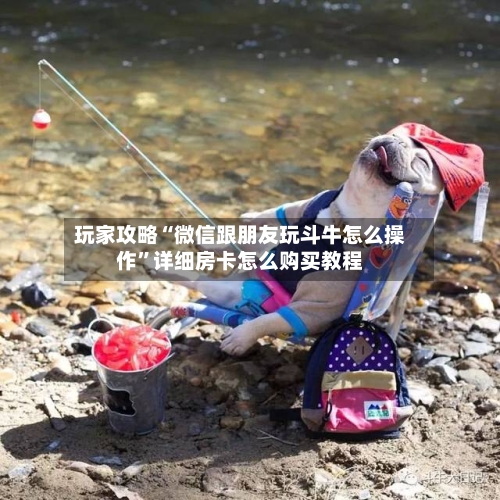 玩家攻略“微信跟朋友玩斗牛怎么操作	”详细房卡怎么购买教程-第3张图片