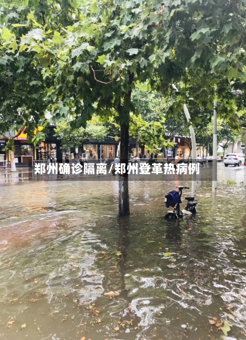 郑州确诊隔离/郑州登革热病例-第2张图片